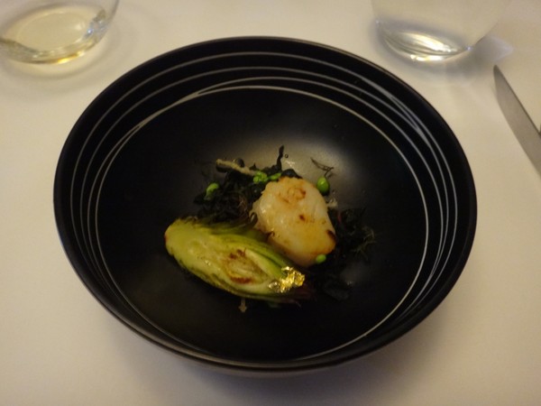 DSC01550.JPG