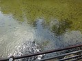 DSC01604.JPG