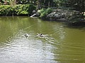 DSC01607.JPG