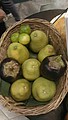 DSC01706.jpg