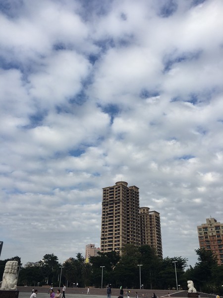 S__17309740.jpg