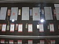 DSC01913.JPG