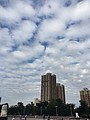 S__17309740.jpg