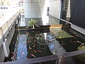 DSC02000.JPG