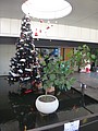 DSC02001.JPG