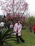 24-50.JPG