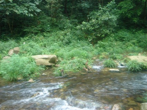 DSC00280.JPG