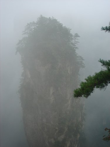 DSC00321.JPG