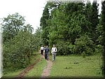 DSC00147-1.JPG