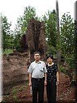 DSC00149-01.JPG