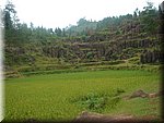 DSC00152.JPG