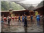 DSC00185.JPG