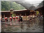 DSC00188.JPG
