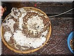 DSC00243.JPG