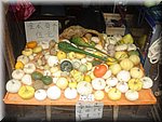 DSC00244.JPG