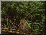 DSC00276.JPG