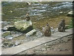 DSC00277.JPG