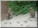 DSC00278.JPG