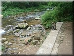 DSC00279.JPG