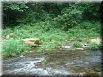 DSC00280.JPG