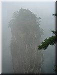 DSC00321.JPG