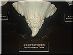 DSC00394.JPG