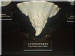 DSC00395.JPG