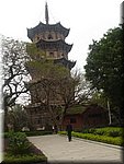 DSC00440.JPG