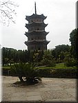 DSC00444.JPG