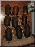 DSC00446.JPG