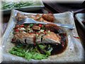 P1040739.jpg