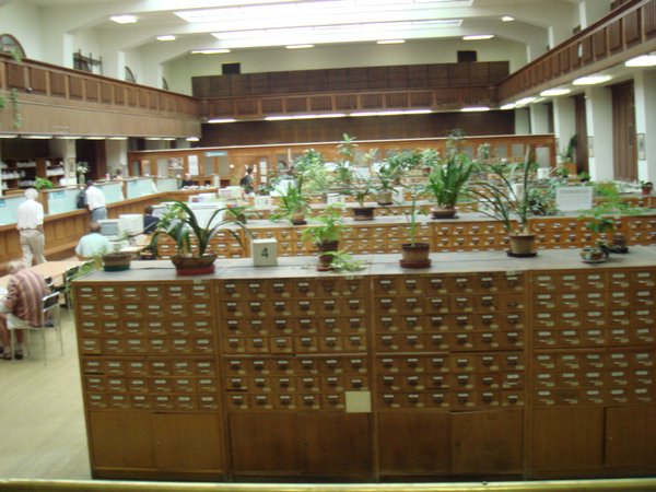 DSC00040.JPG