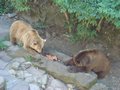 DSC00077.JPG