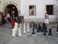 DSC00098.JPG