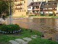 DSC00147.JPG