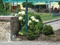 DSC00196.JPG