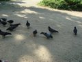 DSC00377.JPG