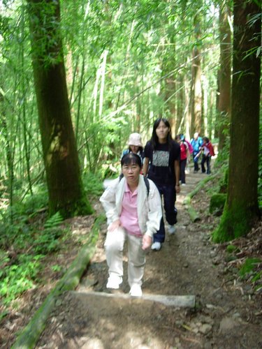DSCN3028_resize.JPG