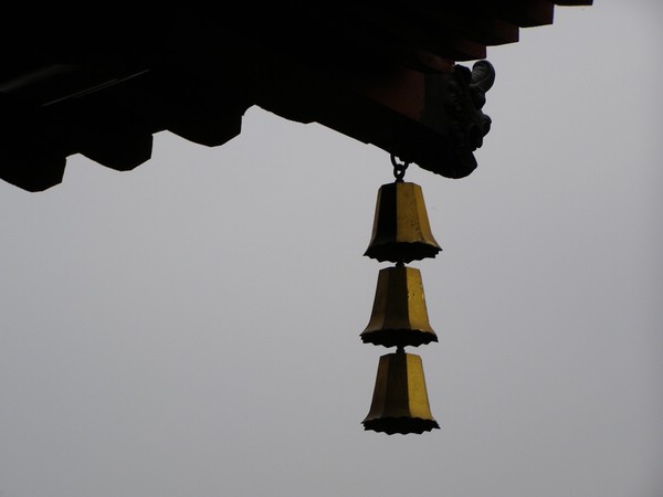 P1010008.JPG