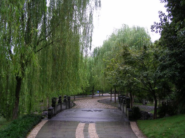 P1010059.JPG