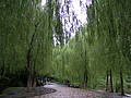 P1010057.JPG