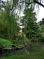 P1010058.JPG