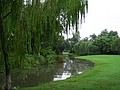 P1010060.JPG
