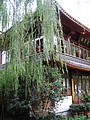 P1010061.JPG