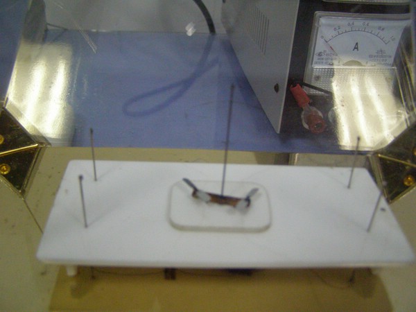 P1010045.JPG