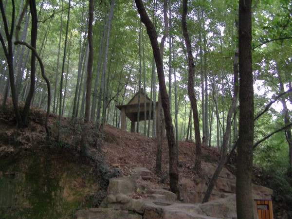 P1010139.JPG