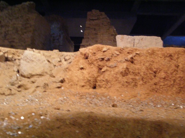 P1010246.JPG