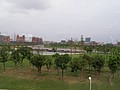 P1010086.JPG