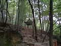 P1010139.JPG