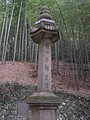 P1010140.JPG